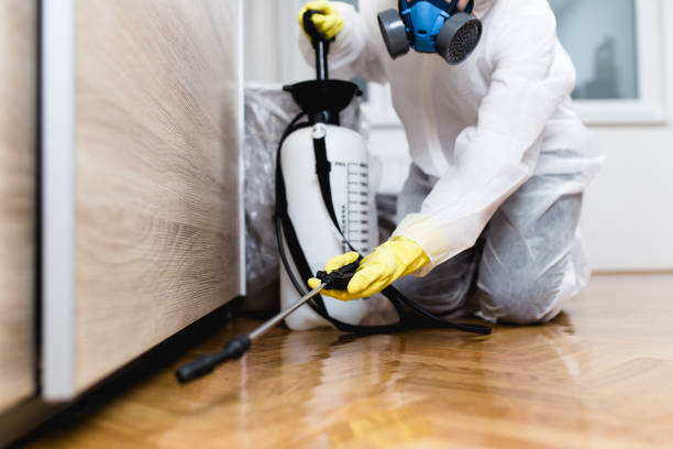 Best Local Pest Control Services  in Summerville, GA