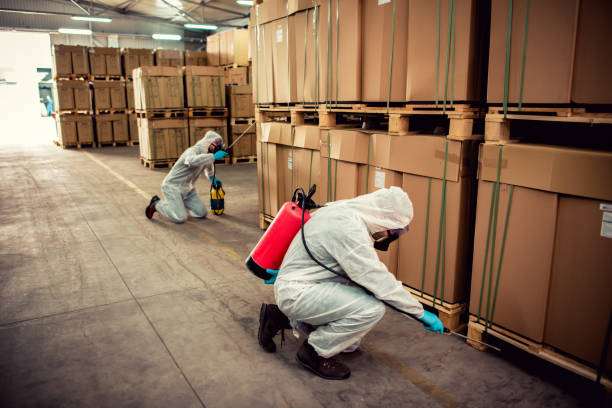 Best Pest Control Near Me  in Summerville, GA