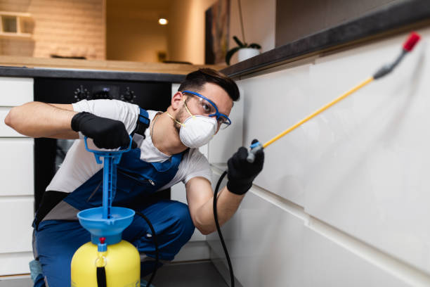 Best Pest Inspection Near Me  in Summerville, GA