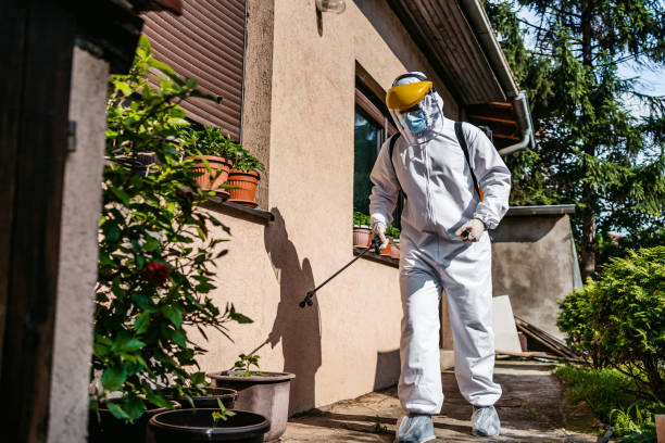 Best Spider Control Near Me  in Summerville, GA