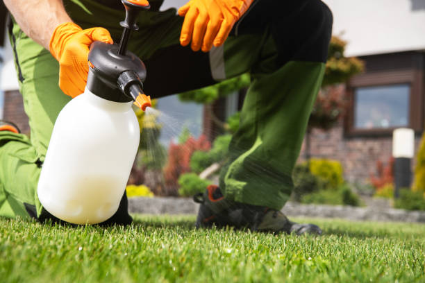Best Flea Control Services  in Summerville, GA