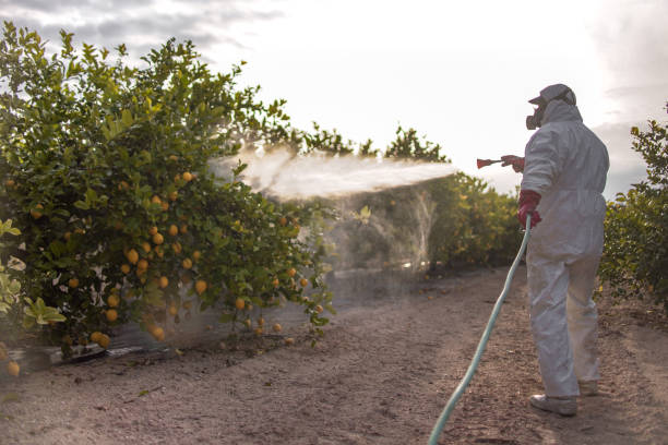 Best Wasp Removal Services  in Summerville, GA