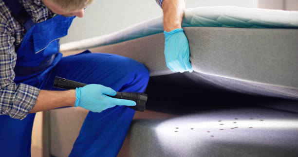 Best Mosquito Control Services  in Summerville, GA