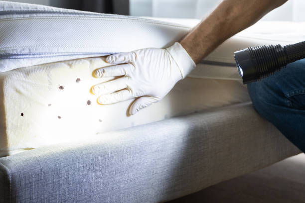Best Best Pest Control Companies  in Summerville, GA