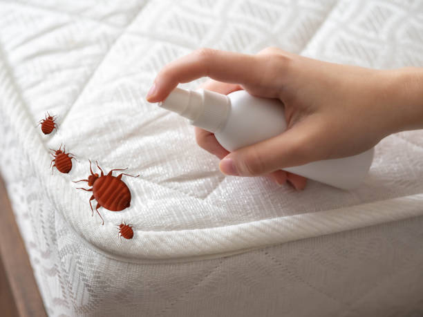 Best Insect Control  in Summerville, GA