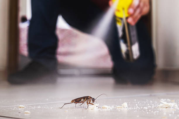 Best Termite Control Services  in Summerville, GA