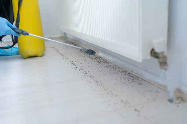 Best Pest Control Near Me  in Summerville, GA