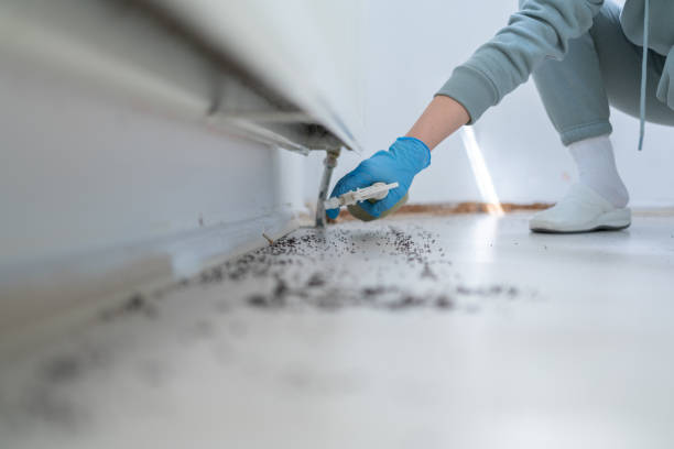 Best Pest Removal Services  in Summerville, GA