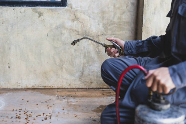 Best Exterminator Services  in Summerville, GA